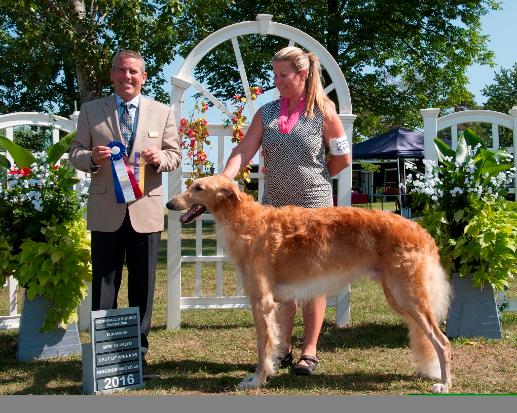 Secret garden best sale borzoi